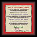 bulleh shah 012 * 22.03.2008 * 408 x 441 * (53KB)